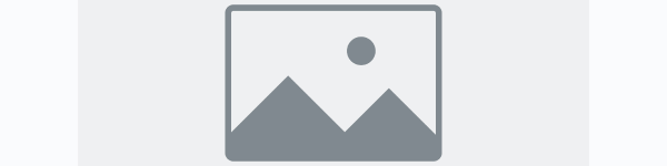 Standard Image Banner